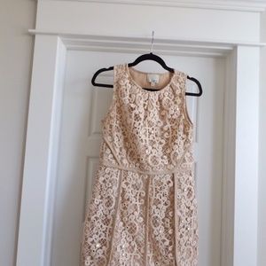 Greylin Anthropologie Lace Cream Dress M